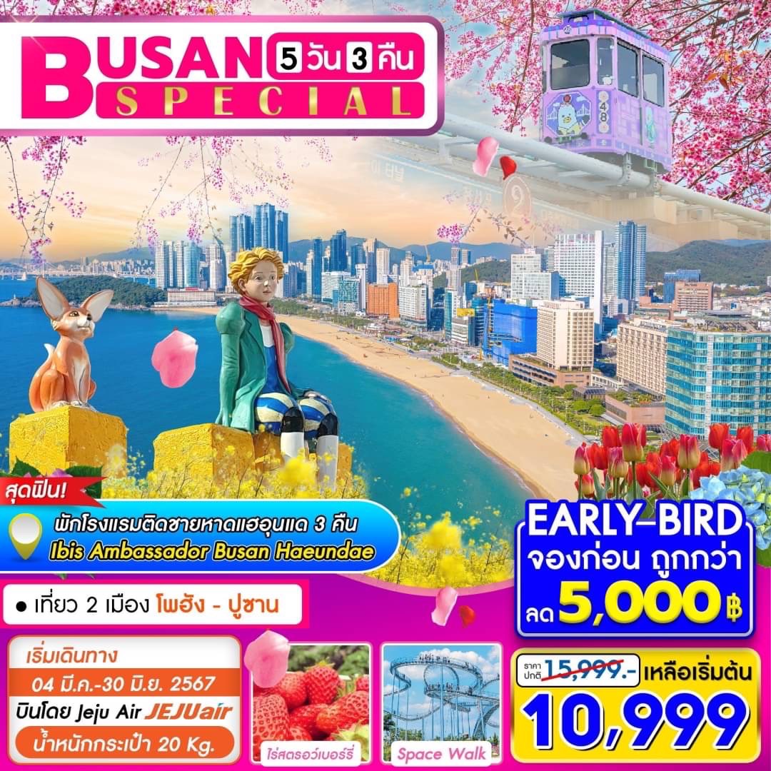 Busan Pohang Special 5D3N