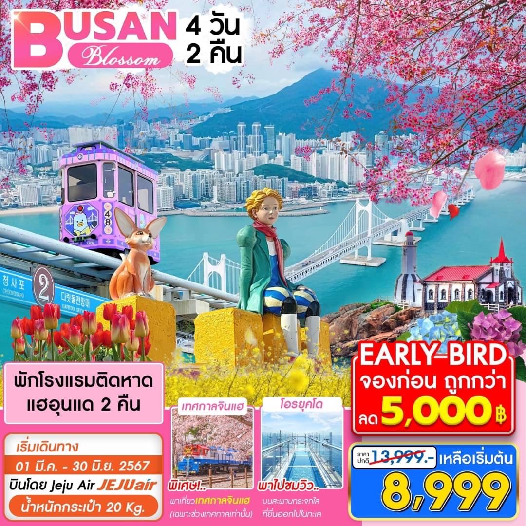 Busan Blossom 4D2N