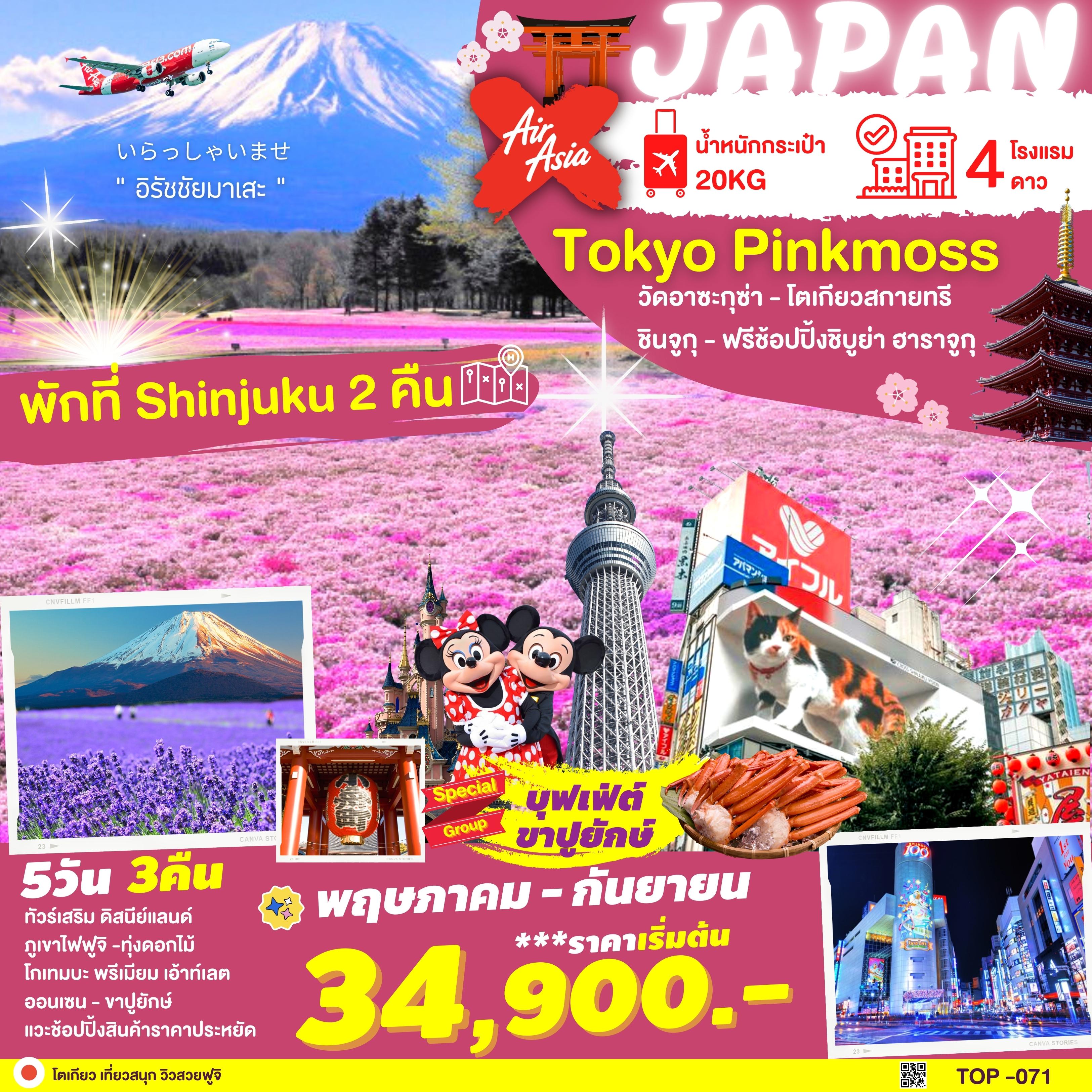 TOKYO FUJI PINKMOSS ญี่ปุ่น โตเกียว ฟูจิ 5วัน 3คืน เดินทาง พ.ค.-ก.ย.66 เริ่มต้น 34,900.- (XJ)