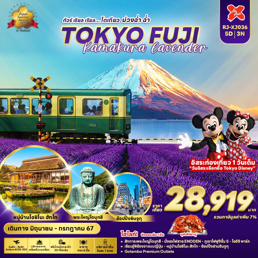 TOKYO FUJI KAMAKURA LAVENDER โตเกียว ฟูจิ คามาคุระ 5 วัน 3 คืน เดินทาง มิถุนายน - กรกฏาคม 67 ราคา 28,919.- Air Asia X (XJ)