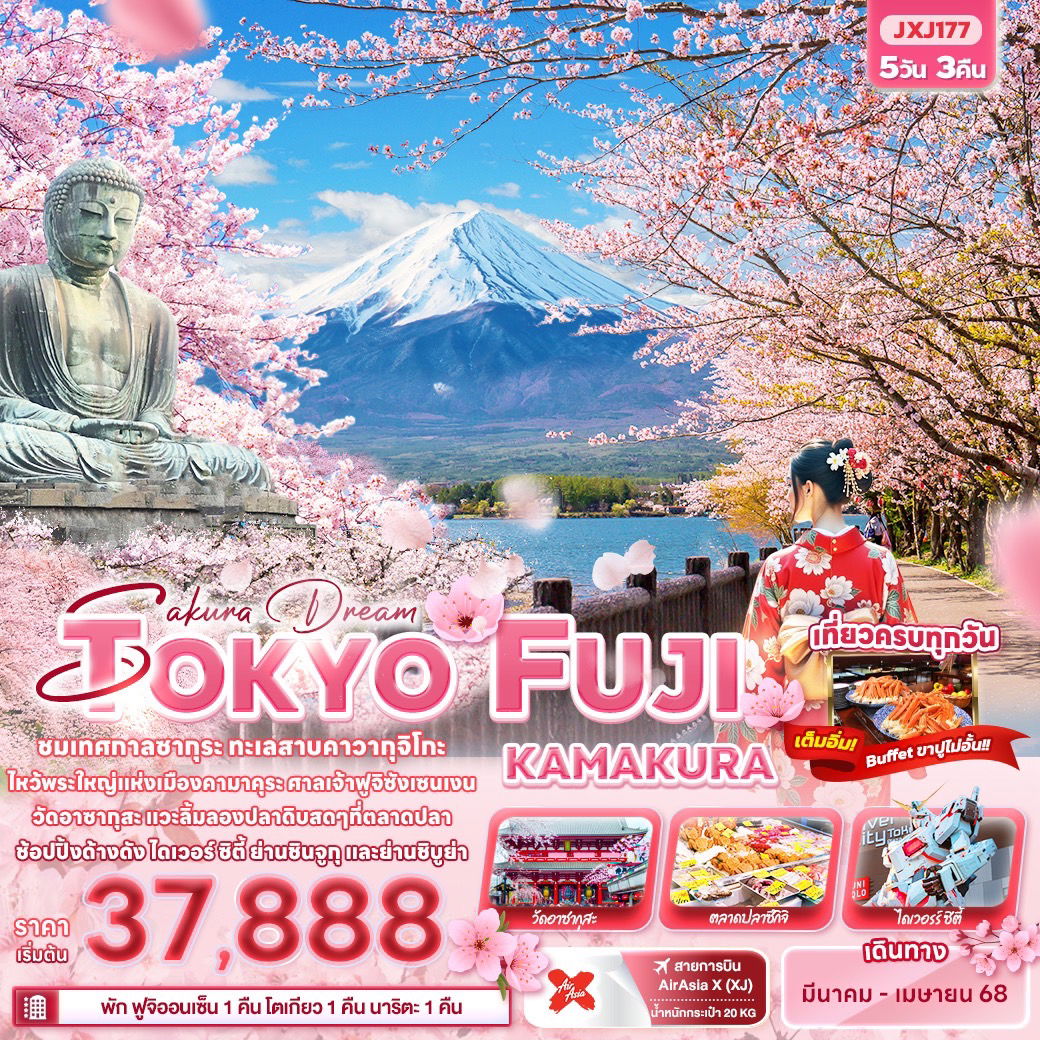 TOKYO FUJI โตเกียว ฟูจิ คามาคุระ ซากุระ 5 วัน 3 คืน เดินทาง มีนาคม - เมษายน 68 เริ่มต้น 37,888.- Air Asia X (XJ)