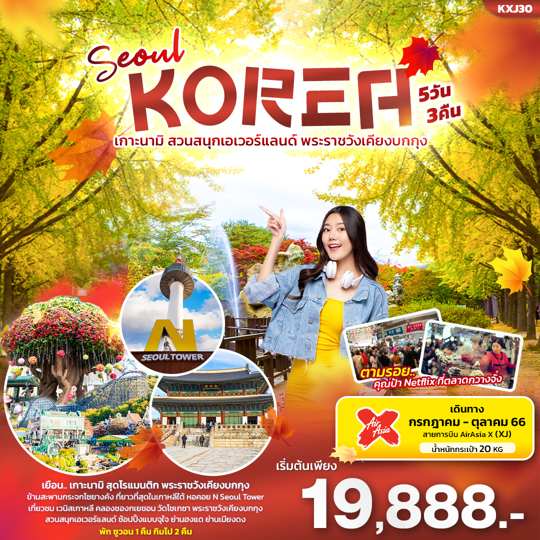 KXJ30 Seoul KOREA เกาะนามิ สวนสนุกเอเวอร์แลนด์ พระราชวังเคียงบกกุง 5 วัน 3 คืน