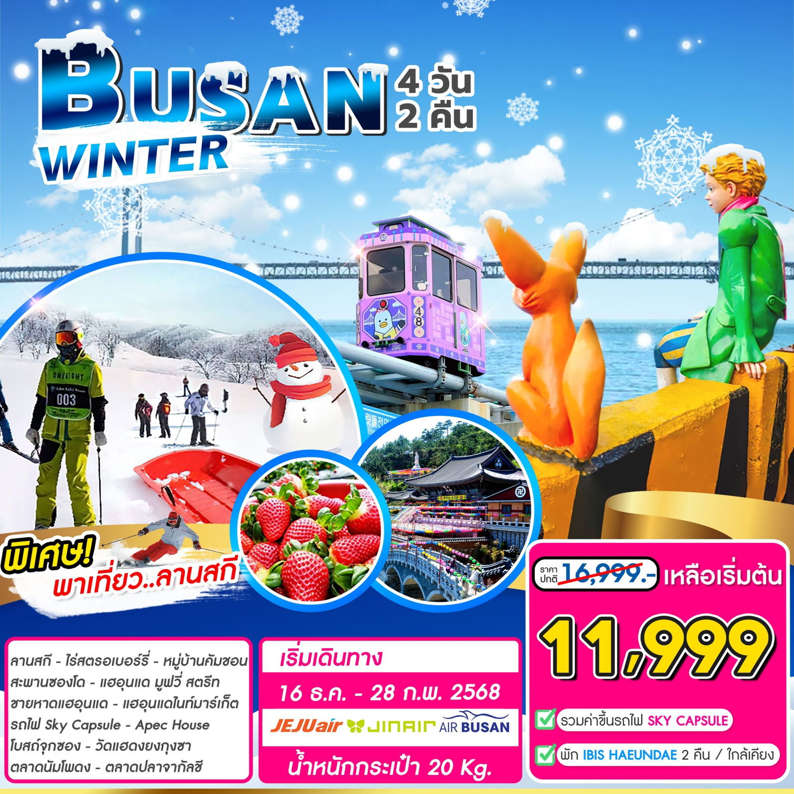 Busan Winter Gold Package 4วัน2คืน