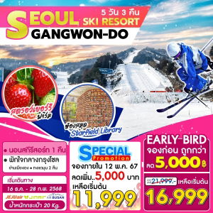 Seoul Gangwon Ski Resort 5D3N