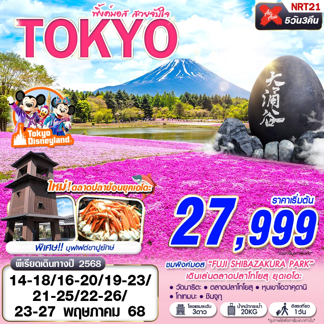 NRT21 XJ DMK TOKYO พิ้งค์มอส สวยจับใจ (FREEDAY บินเช้า) MAY 5D3N