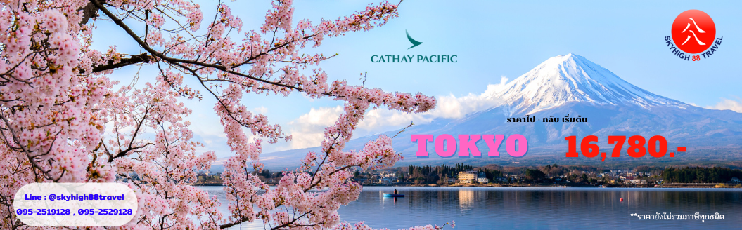 ตั๋วเครื่องบิน ราคาถูก ไปญี่ปุ่น