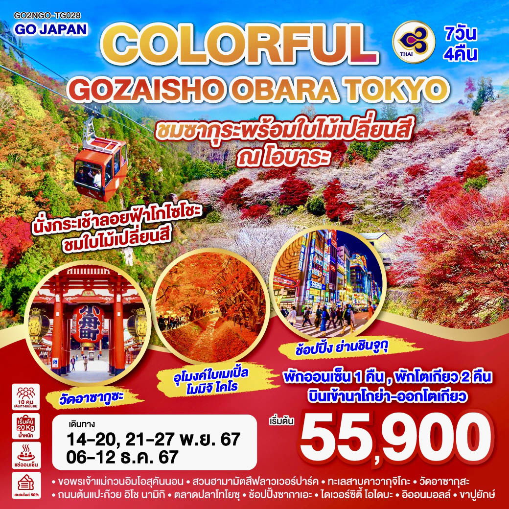 COLORFUL GOZAISHO KORANKEI TOKYO 7D 4N โดยสายการบินไทย [TG]