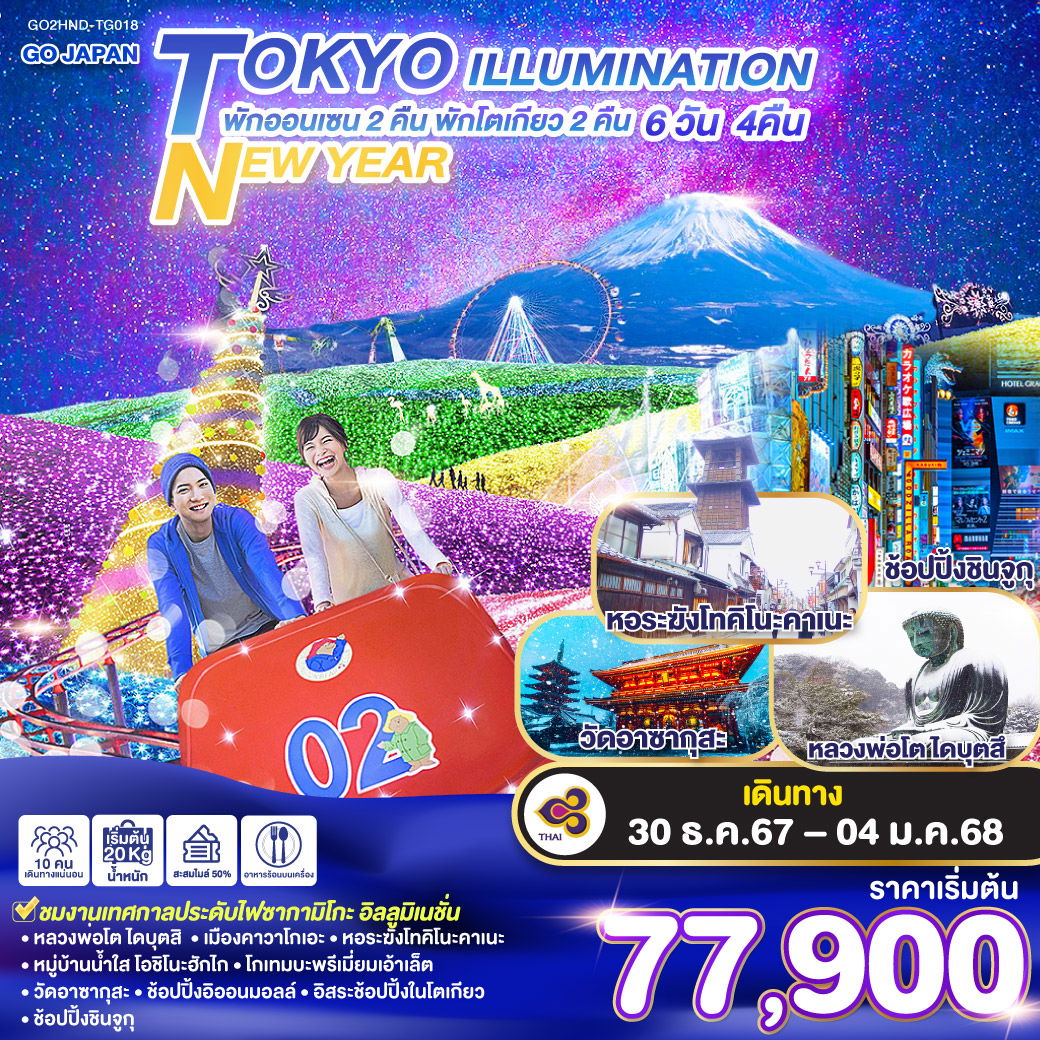 TOKYO ILLUMINATION NEW YEAR 6D 4N โดยสายการบินไทย [GO2HND-TG018]