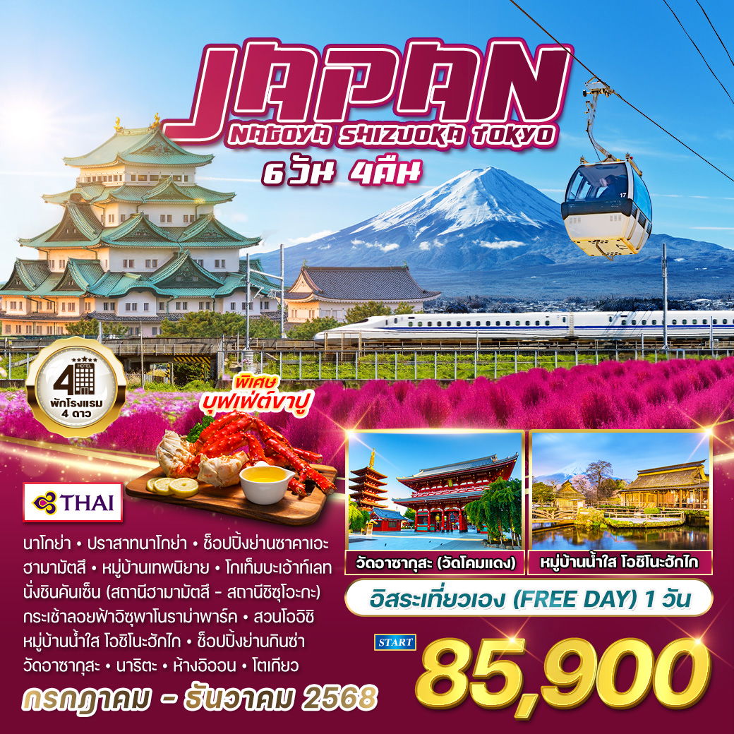 ทัวร์ญี่ปุ่น นาโกย่า - ชิซูโอกะ - โตเกียว 6 วัน 4 คืน (TG)  JULY - DEC 2568