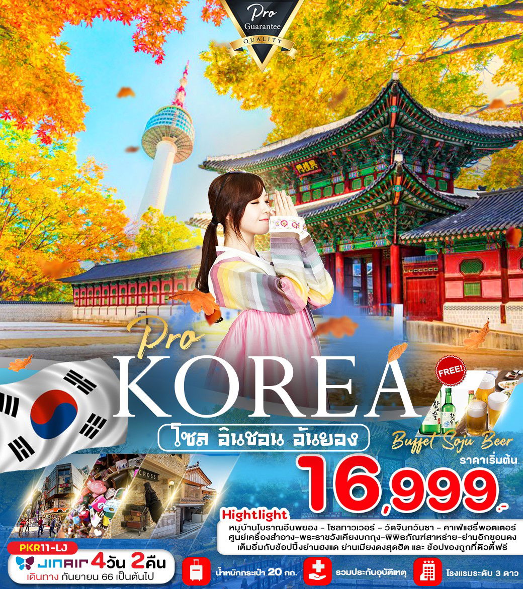 PRO KOREA โซล อินชอน อันยอง 4D2N by LJ