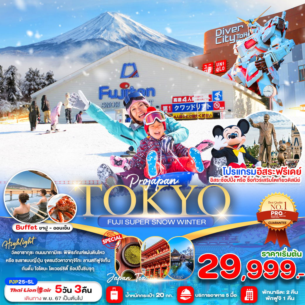 ทัวร์ญี่ปุ่น โตเกียว ฟูจิ หิมะ 5 วัน 3 คืน by Thai Lion Air