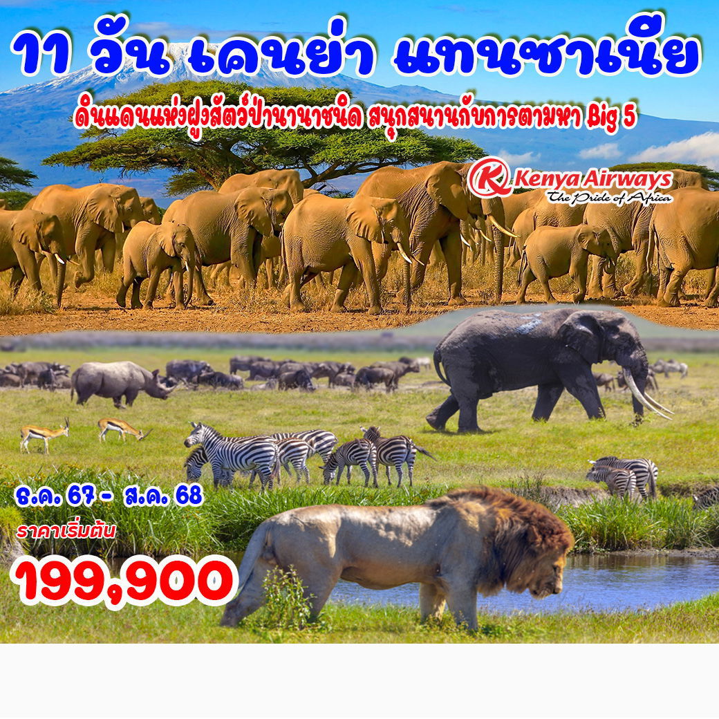 เคนย่า แทนซาเนีย ดินแดนแห่งฝูงสัตว์ป่านานาชนิด 11 วัน 8 คืน by Kenya Airways