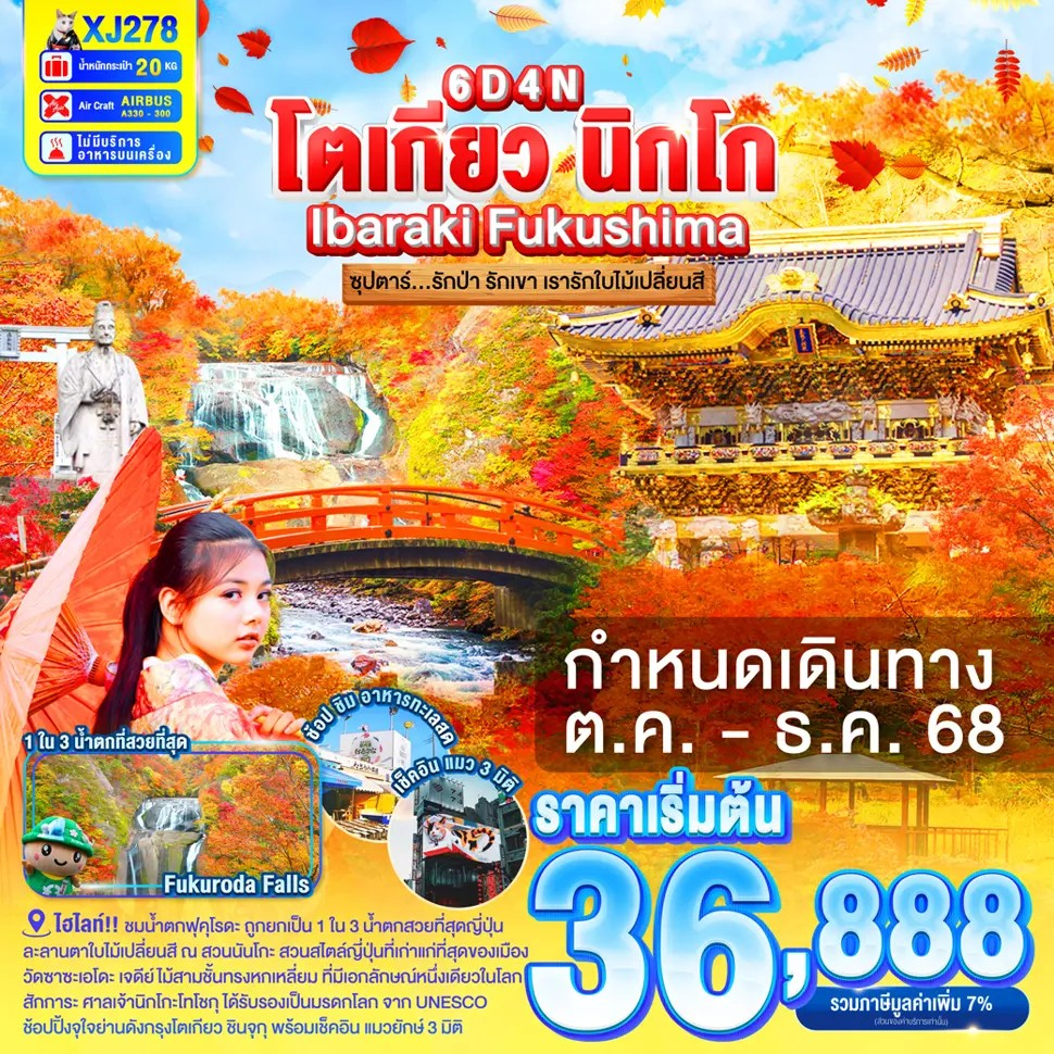 ทัวร์ญี่ปุ่น โตเกียว นิกโก อิบารากิ 6 วัน 4 คืน by Thai AirAsia X