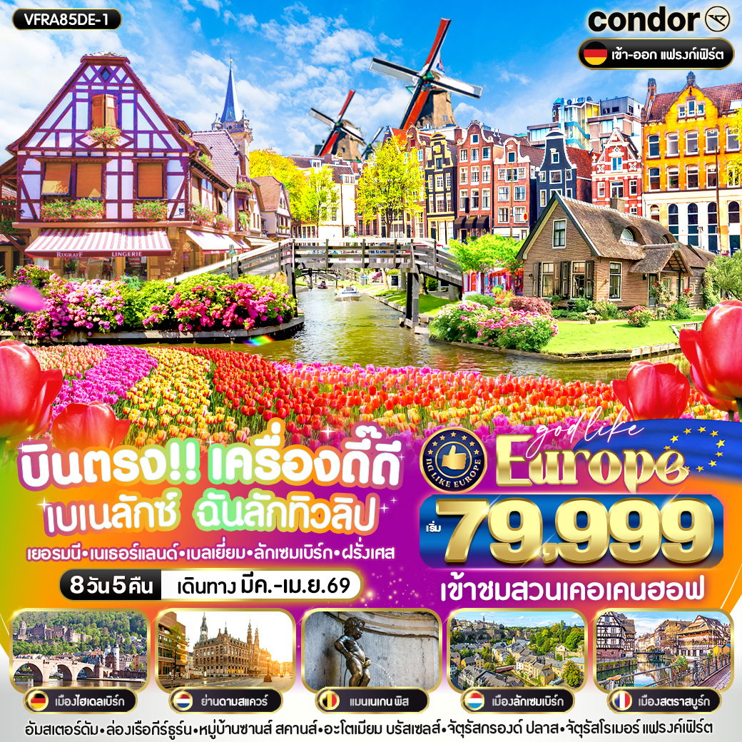 ทัวร์ยุโรป เยอรมนี เนเธอร์แลนด์ เบลเยี่ยม ลักเซมเบิร์ก ฝรั่งเศส 8 วัน 5 คืน by Condor