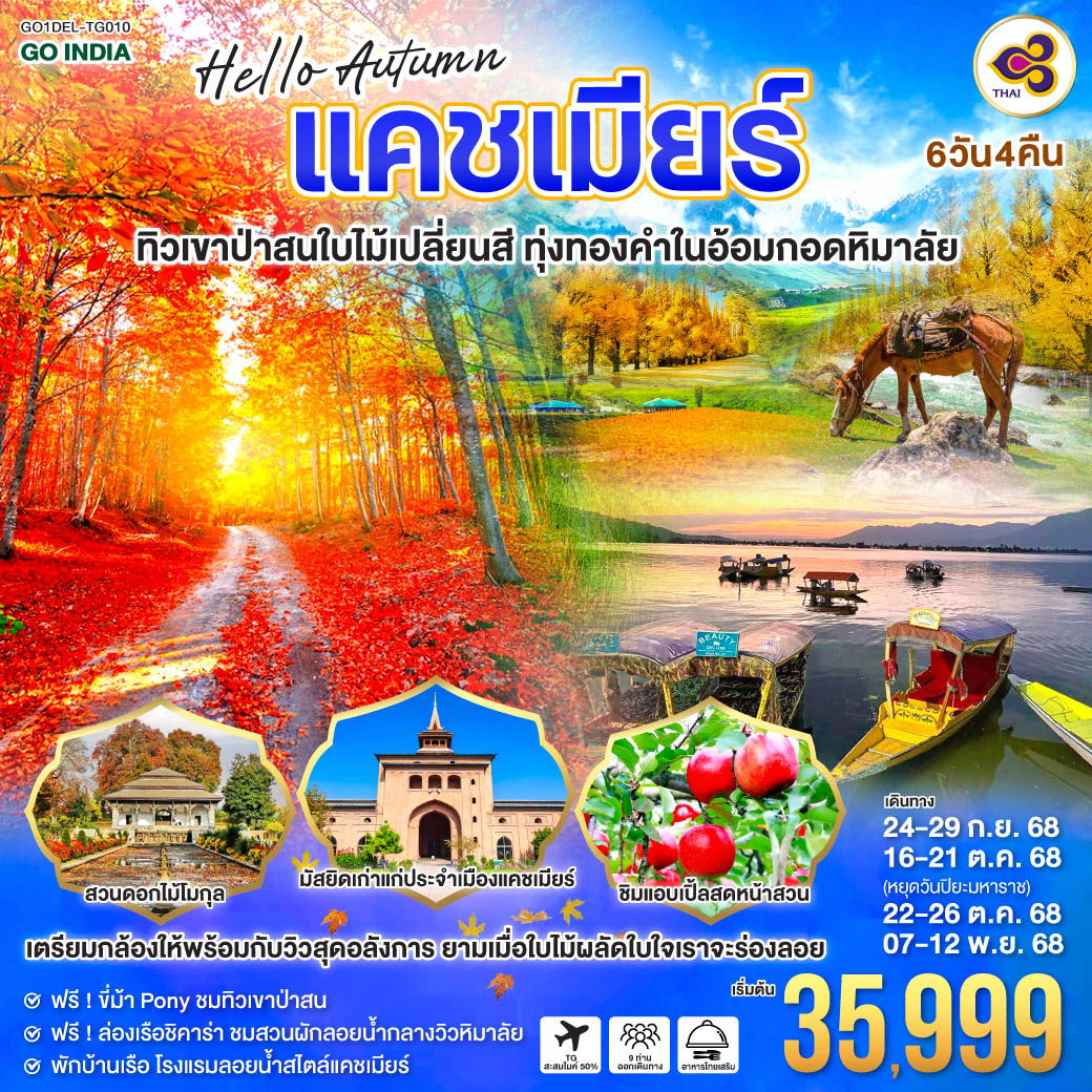 ทัวร์อินเดีย แคชเมียร์ ศรีนาคา เดลี 6 วัน 4 คืน by Thai Airways