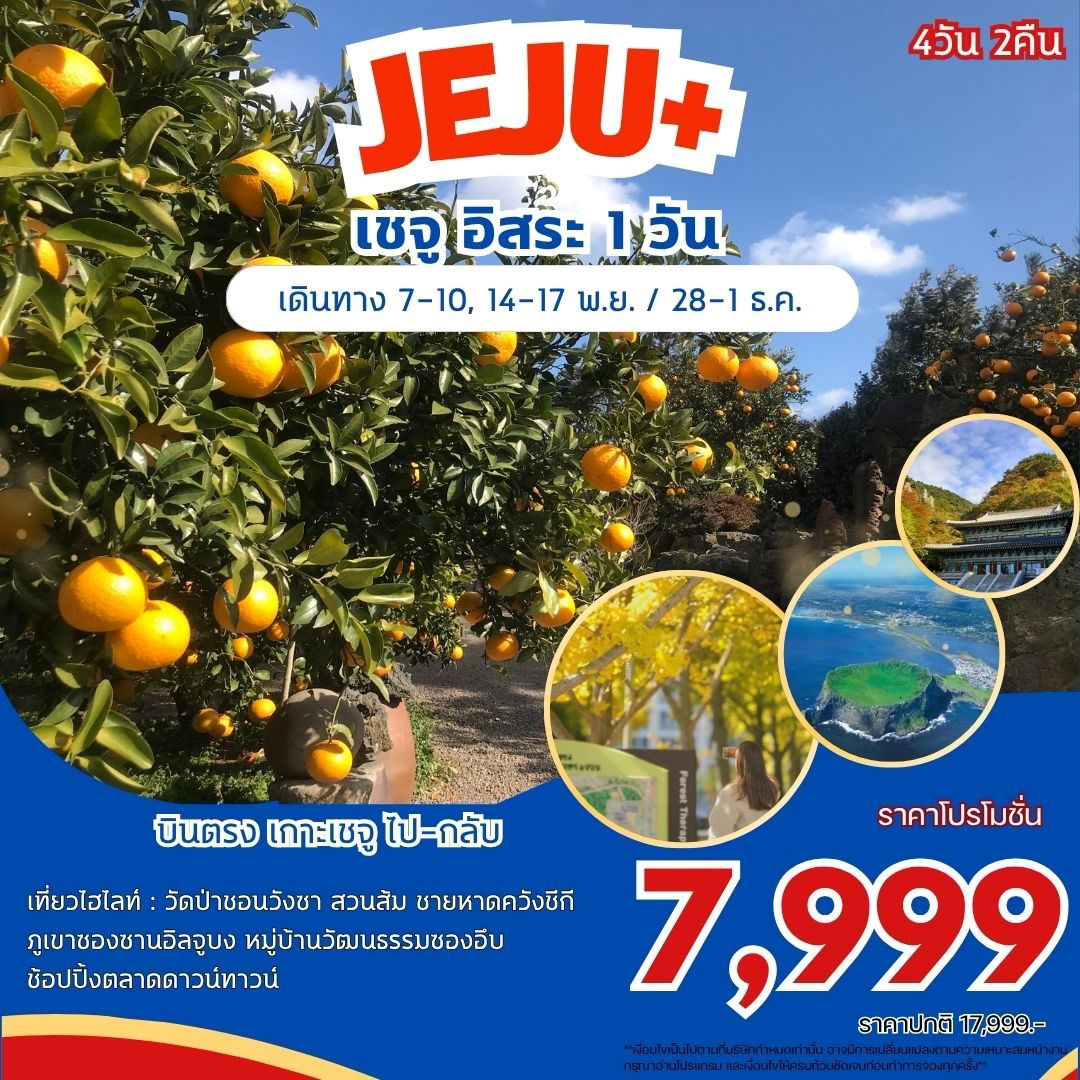 ทัวร์เกาหลี บินตรงเชจู วัดป่าชอนวังชา ฟรีเดย์ 4 วัน 2 คืน by JEJU AIR