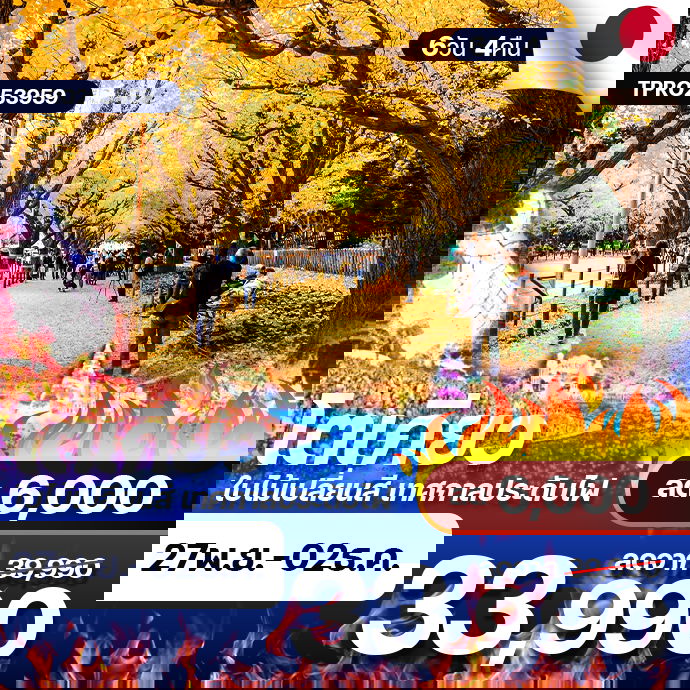 โปรไฟไหม้ ญี่ปุ่น โตเกียว ใบไม้เปลี่ยนสี เทศกาลประดับไฟ บินฟูลเซอร์วิส ลด 6,000.-