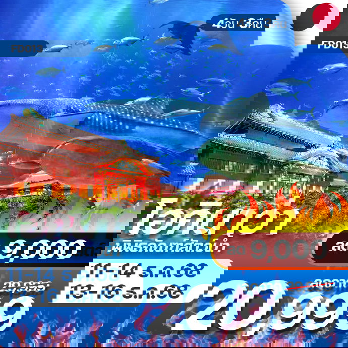 โปรไฟไหม้ japan okinawa โอกินาว่า ลมหนาว ปะทะ ลมทะเล ลดสูงสุด 9,000