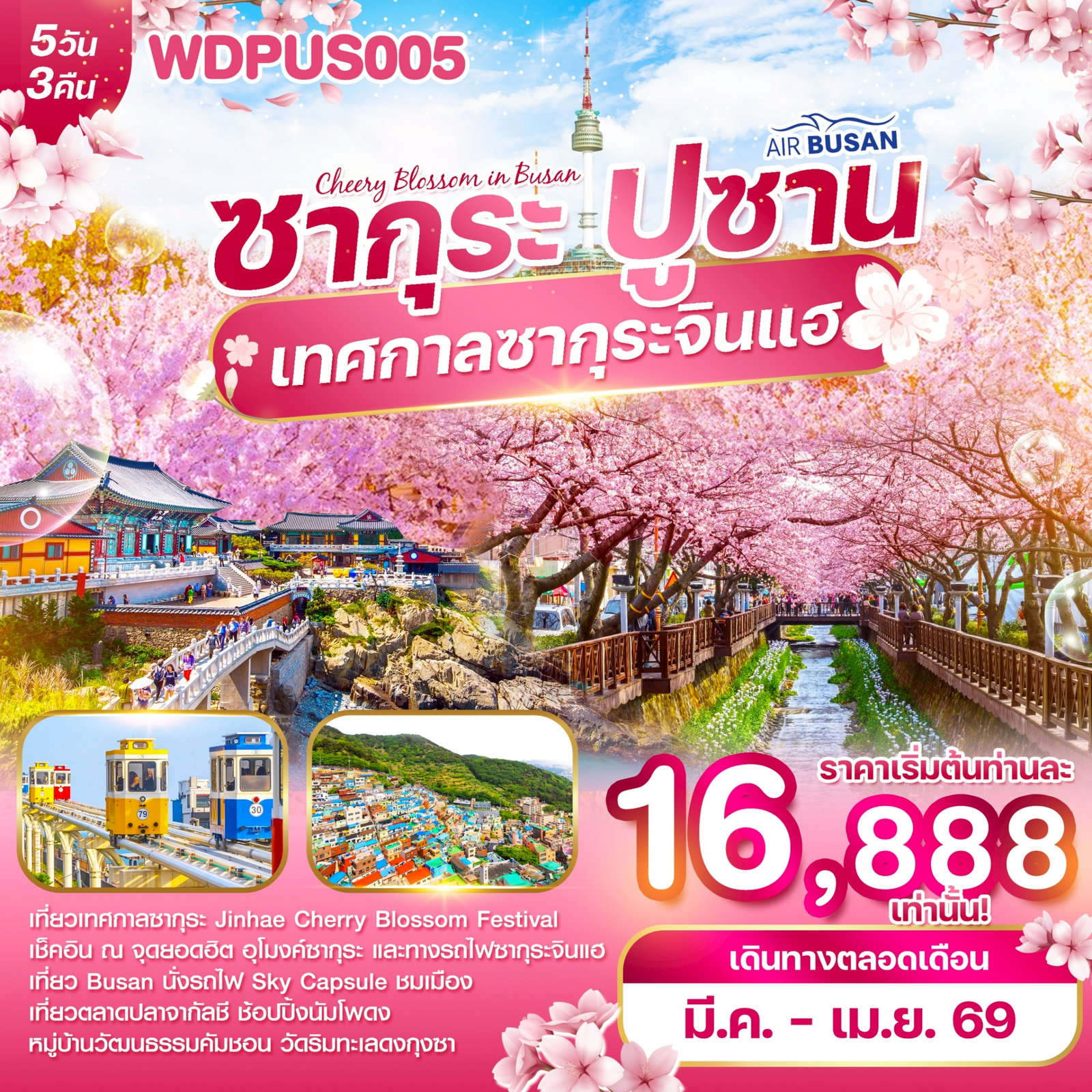 ทัวร์เกาหลี ปูซาน เทศกาลซากุระจินแฮ 2026 5 วัน 3 คืน by AIR BUSAN