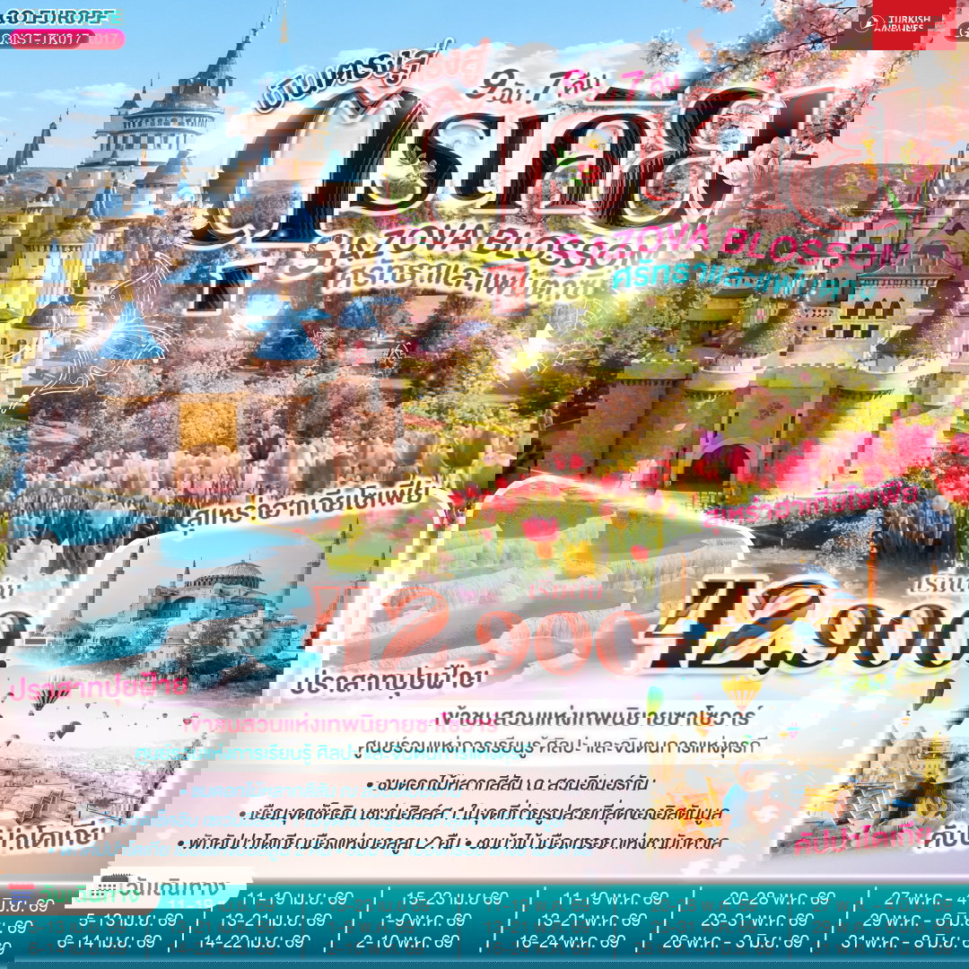 ทัวร์ตุรกี อิสตันบูล อังการา ชานัคคาเล คอนยา 9 วัน 7 คืน by TURKISH AIRLINES