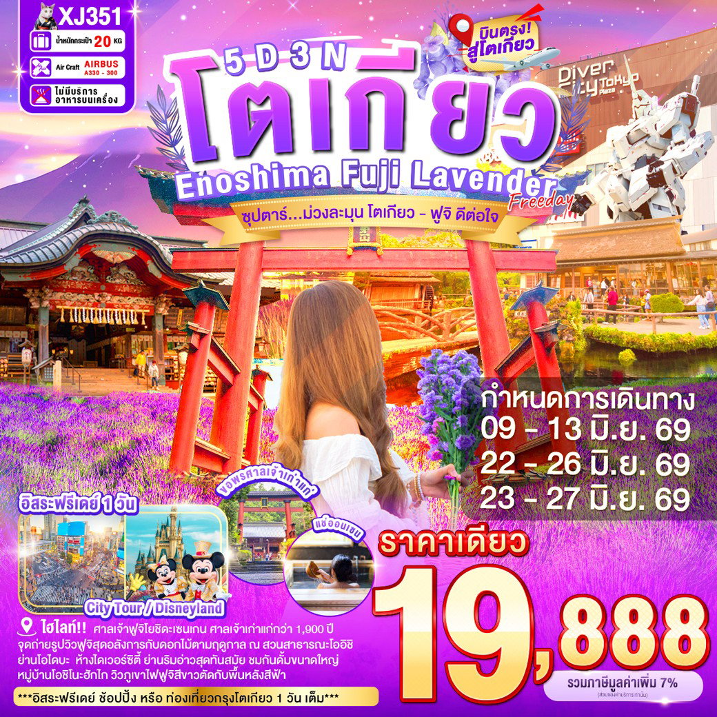 ทัวร์ญี่ปุ่น โตเกียว ยามานาชิ ศาลเจ้าฟูจิโยชิดะเซนเกน แช่ออนเซ็น 5 วัน 3 คืน by THAI AIR ASIA X
