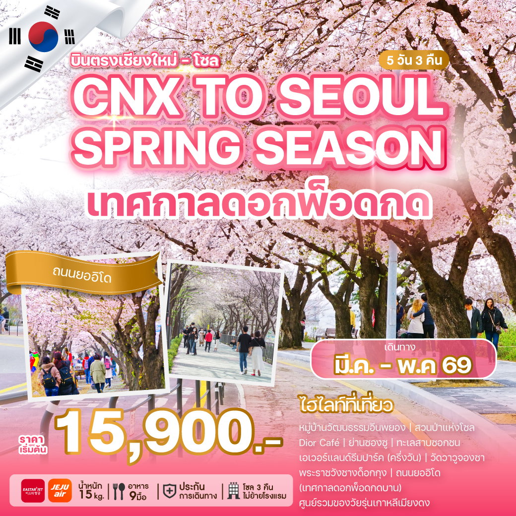 ทัวร์เกาหลี บินตรงเชียงใหม่ โซล เทศกาลดอกพ็อดกดบาน 5 วัน 3 คืน by JEJU AIR - EASTAR JET  