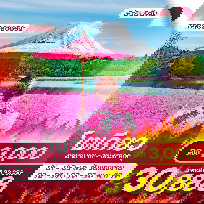 โตเกียว ยามานาชิ ชิบะซากุระ 5 วัน 3 คืน วันแรงงาน ลด 3,000