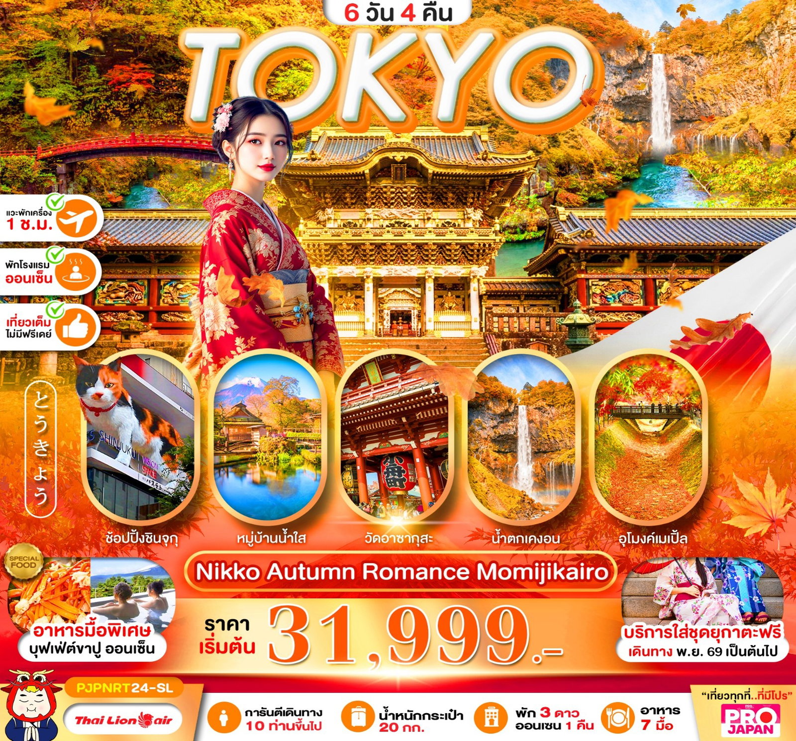 ทัวร์ญี่ปุ่น โตเกียว นิกโก้ วัดอาซากุสะ 6 วัน 4 คืน by THAI LION AIR