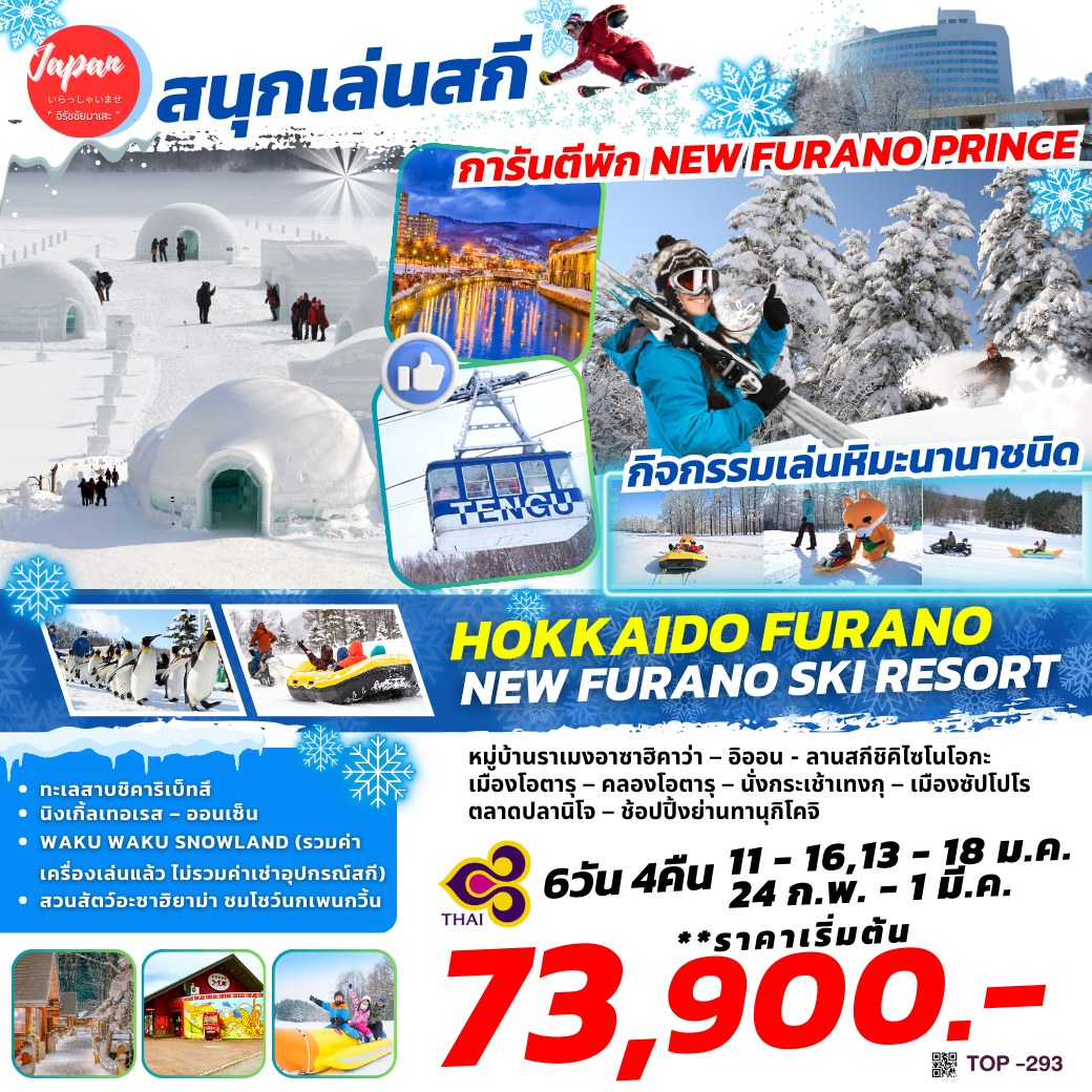 TOP293 : HOKKAIDO FURANO SHIKARIBETSU SNOW 6D4N BY TG 