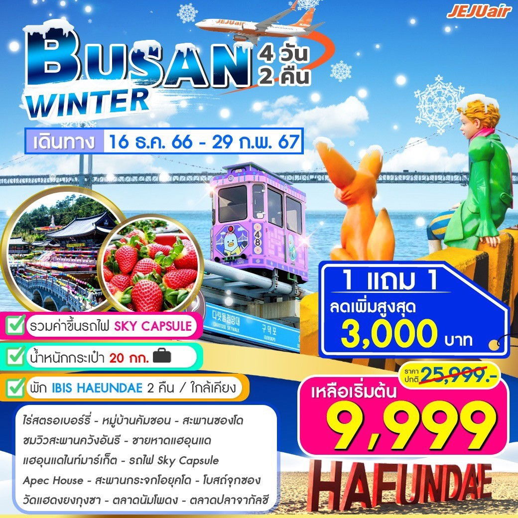 1 แถม 1 BUSAN WINTER 4D2N (16 DEC 23 - 29 FEB 24) 