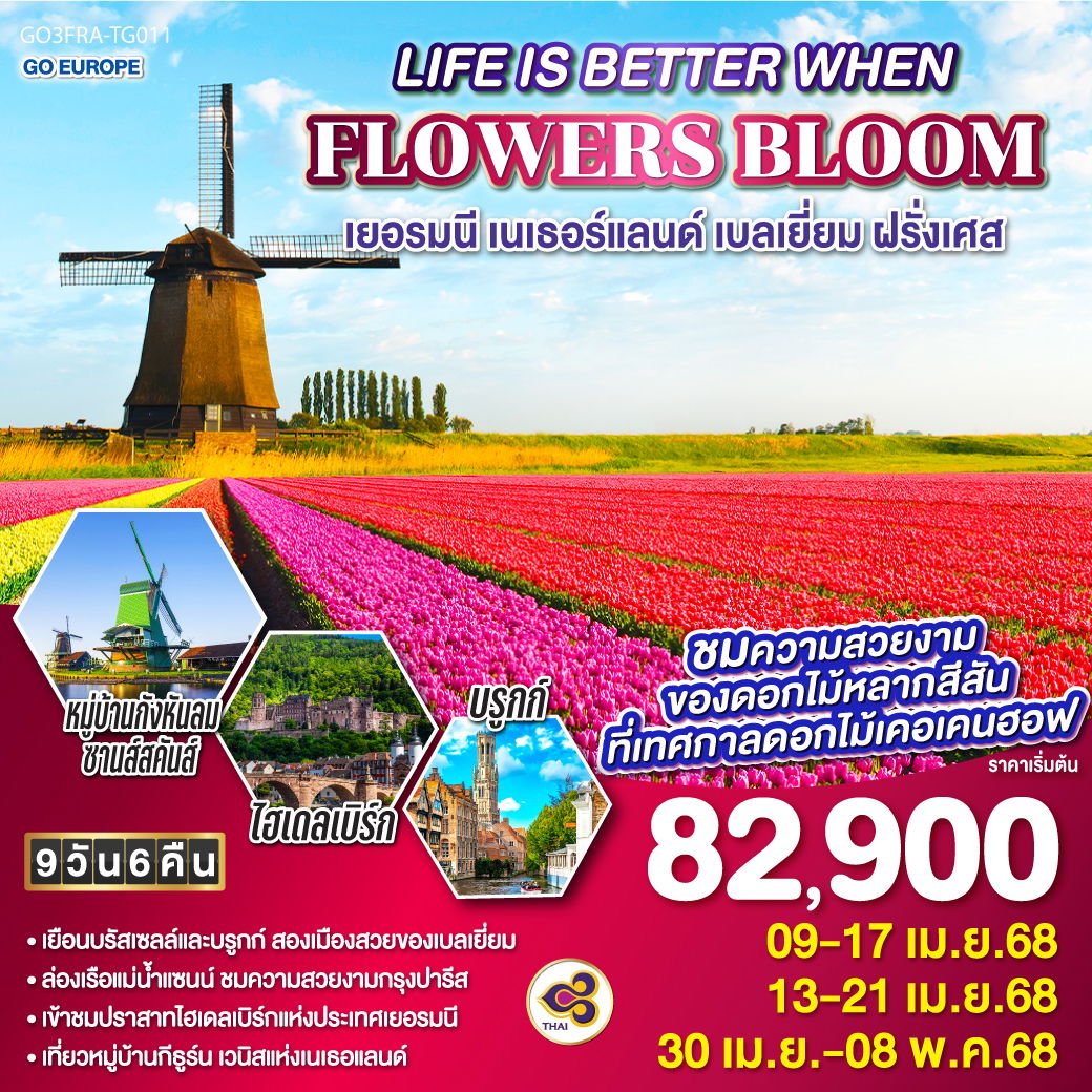 wow_image_product