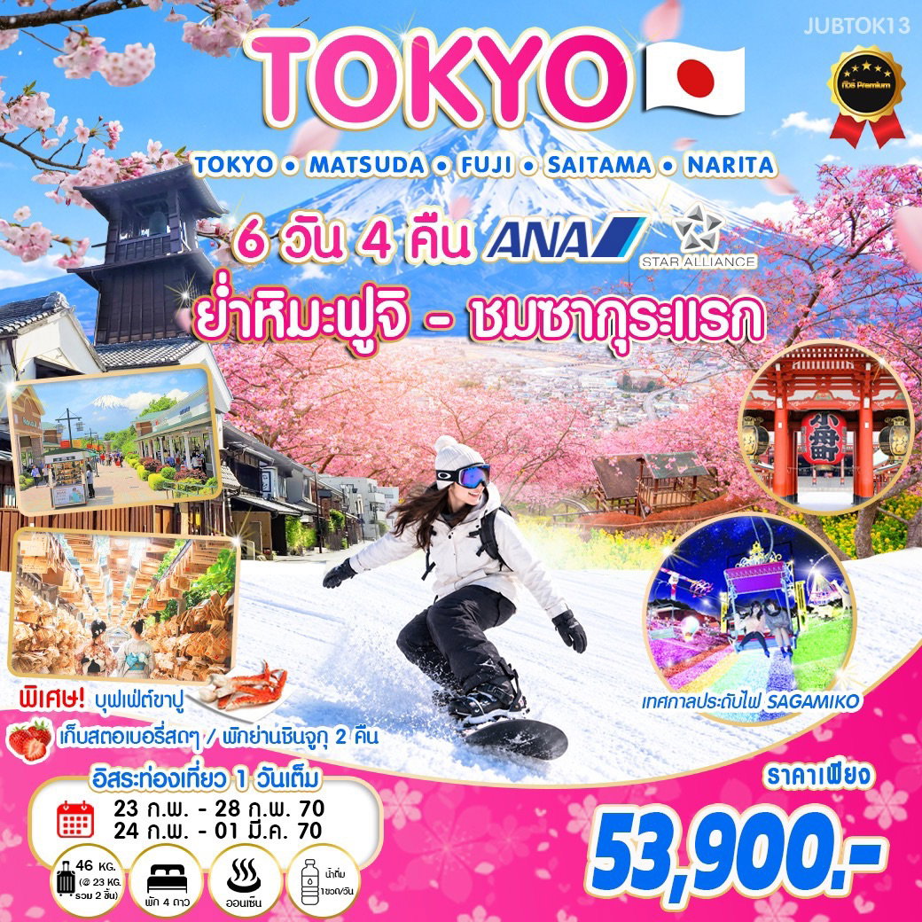 ญี่ปุ่น นาริตะ มัตสึดะ โกเทมบะ ฟูจิ คานางาวะ โตเกียว คาวาโกเอะ 6วัน4คืน BKK-NRT มัตสึดะซากุระ ฟูจิเท็น ซากะมิโกะ อาซากุสะ เก็บสตรอว์เบอร์รี่